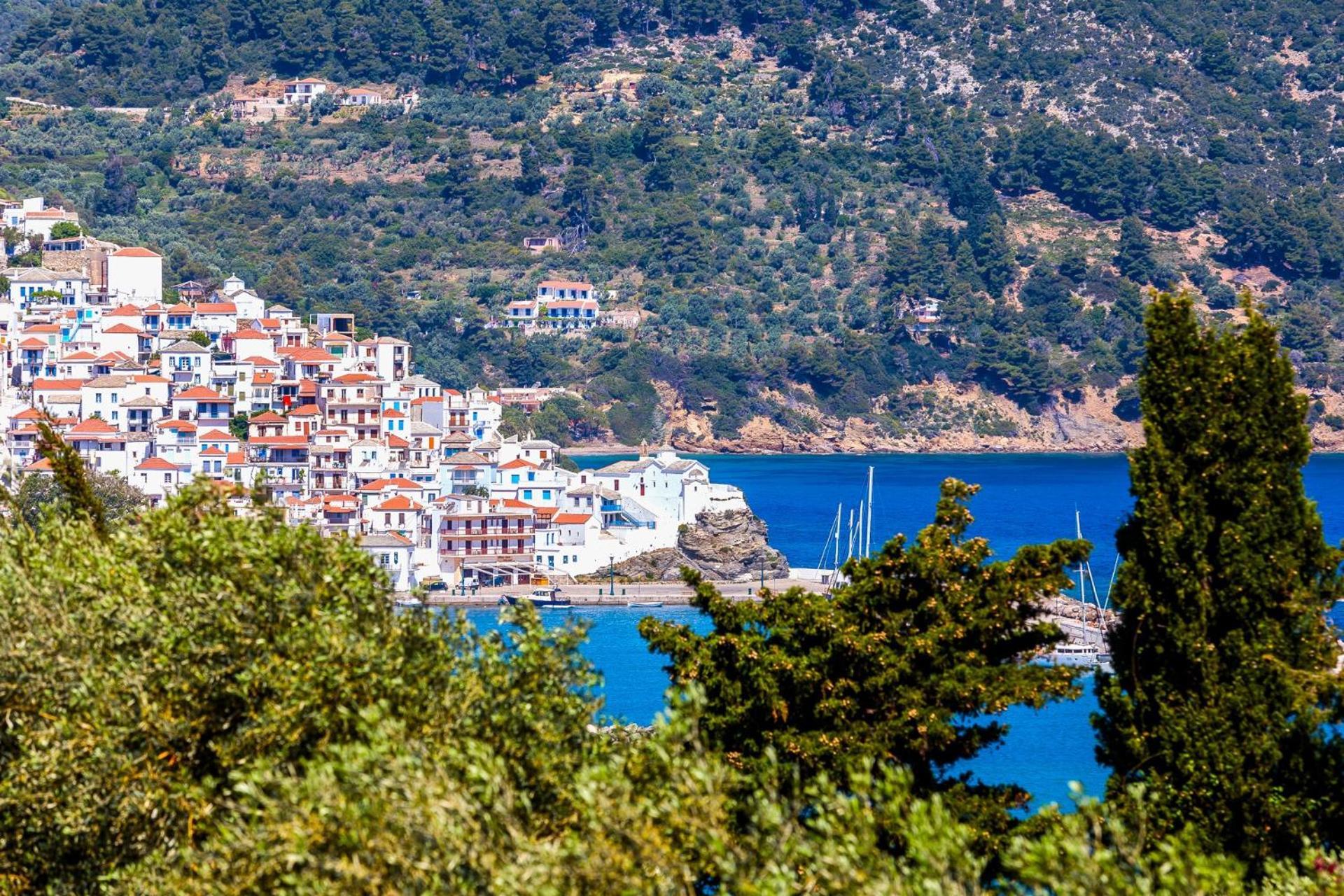 Naiades Superior Apartments In Skopelos With Sea View Close To The Town Eksteriør bilde